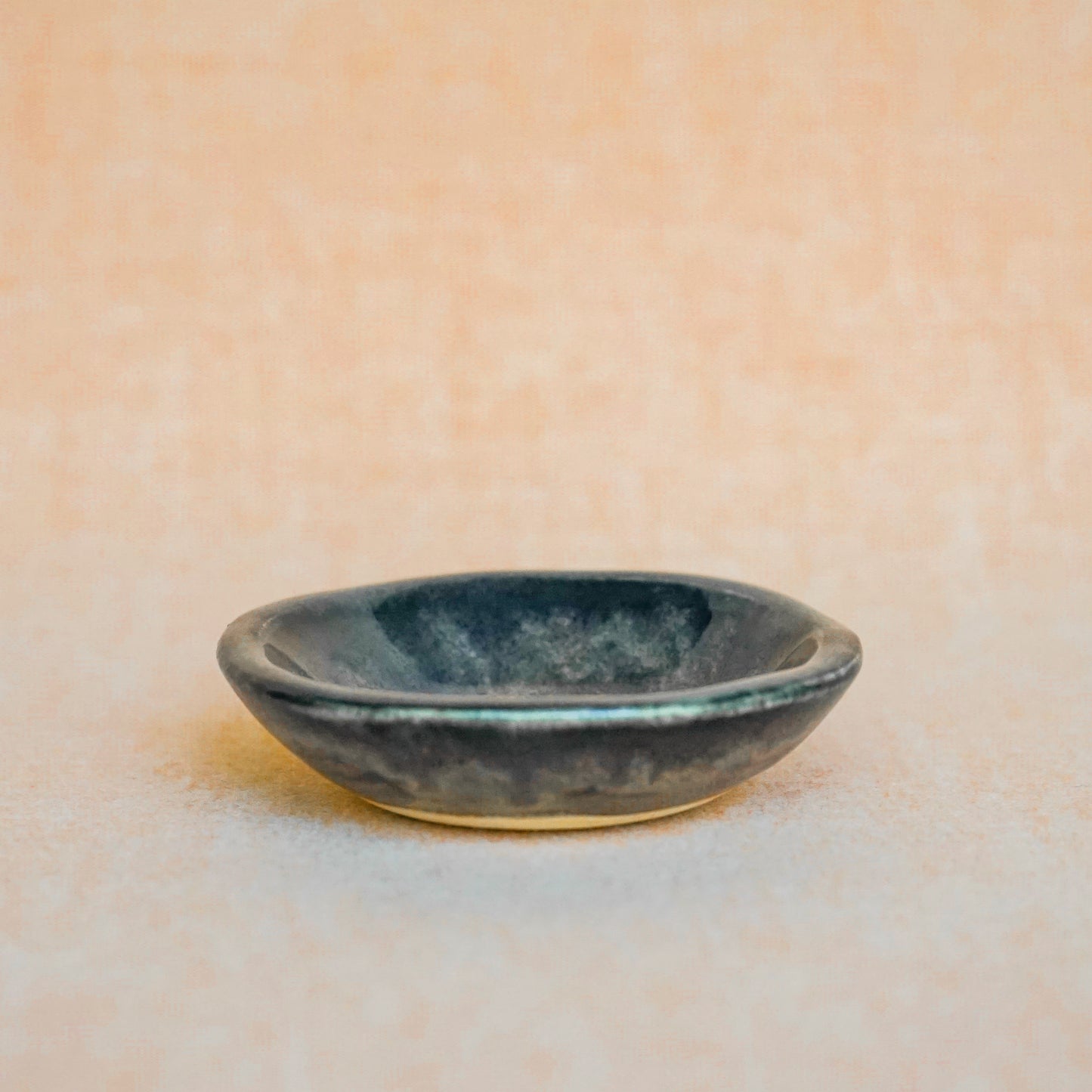 Multipurpose Mini Dish