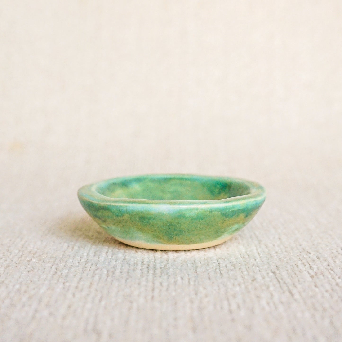 Multipurpose Mini Dish
