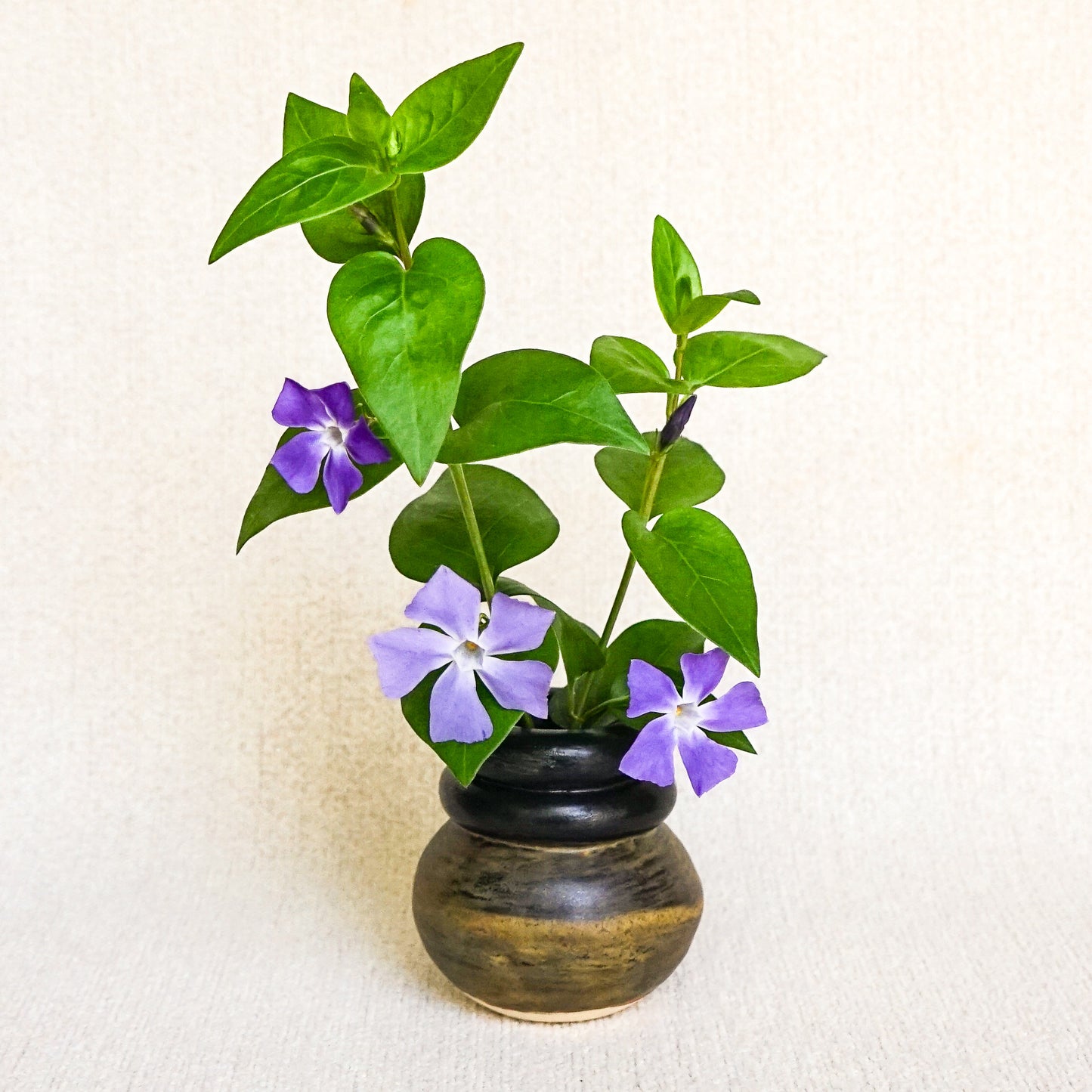 The Brown + Black Mini Coil Vase
