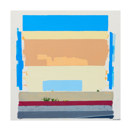 Daydream- Back in Stock