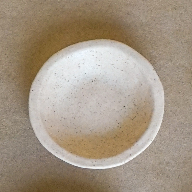 Multipurpose Mini Dish