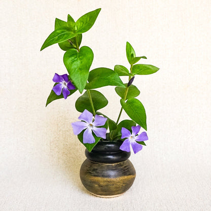 The BB Mini Coil Vase